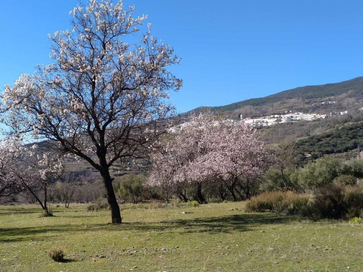 Castano Real Villa Atalbeitar Exterior photo